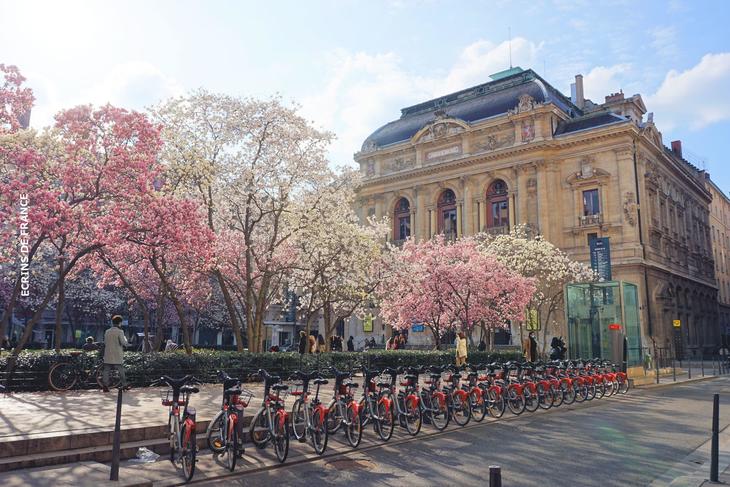 1_THEATRE_DES_CELESTINS_LYON_03.jpg