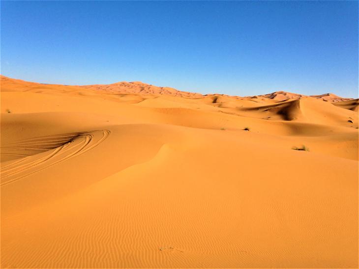 Merzuga Sahara.jpg