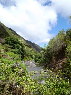 Iao Stream