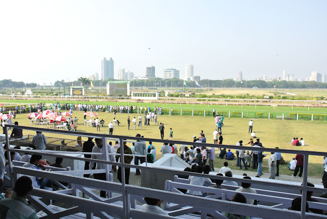 horserace-4.JPG