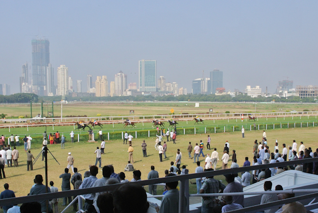 horserace-5.JPG