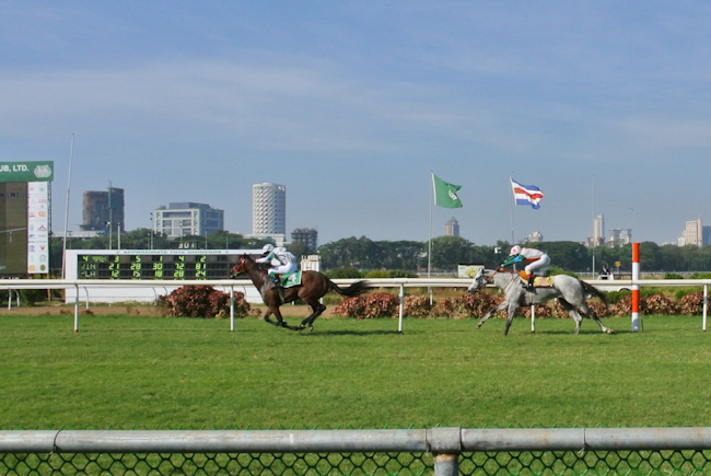 horserace-9.JPG