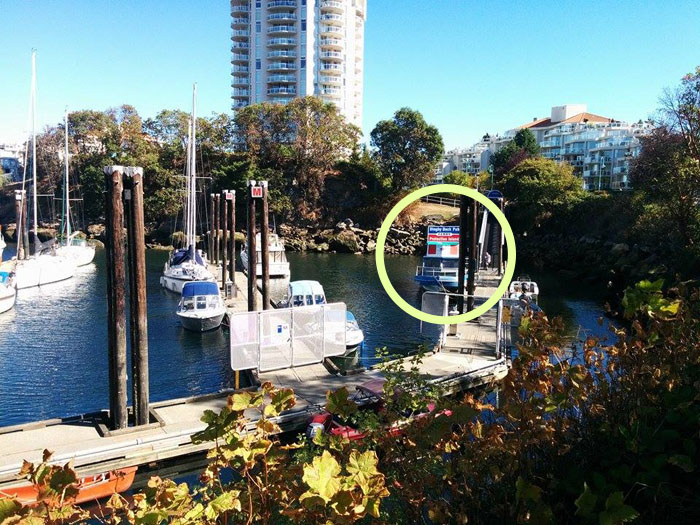 【食】フェリーで10分、プロテクション島のパブ「Dinghy Dock Pub」へ行ってきました！ 地球の歩き方