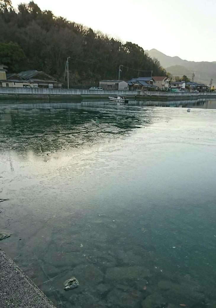 18年1月 沖縄旅行 島唄ライブ居酒屋 ちょんちょん 地球の歩き方