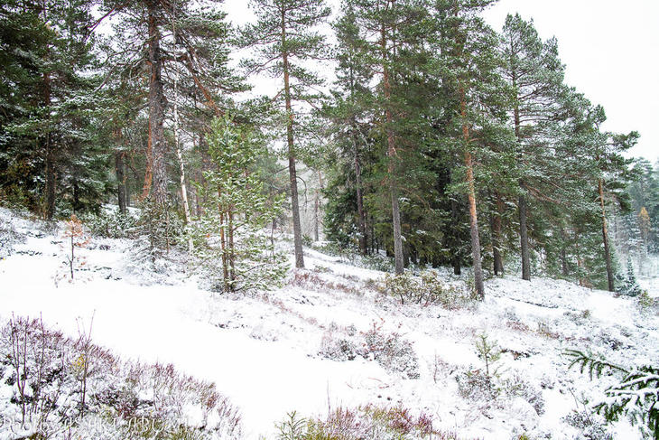 oslo_winter2018_Norway-8160.jpg
