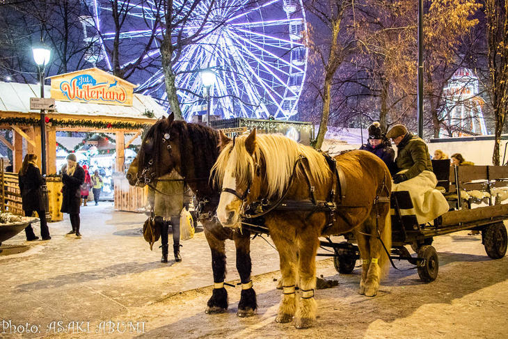 christmas_oslo_norway_asakiabumi-9338.jpg