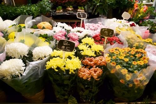 フランス人はお墓参りに何の花をお供えする 地球の歩き方