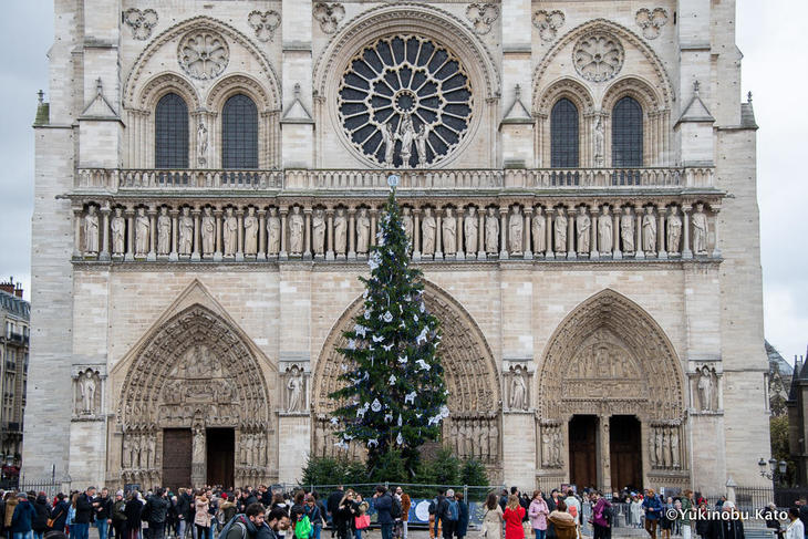 ノートルダム大聖堂前にツリーが立ちました クリスマス当日の大聖堂の