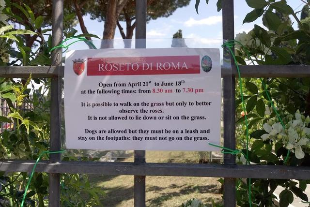 Roseto 4.jpg