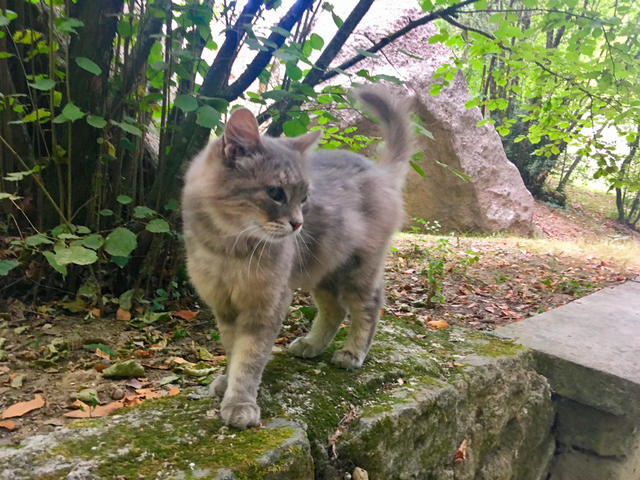 Bomarzo 13.JPG