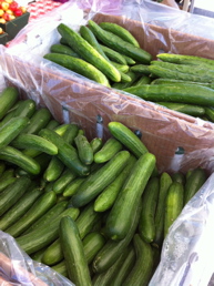 japaneaseprusiancucumbers.jpg