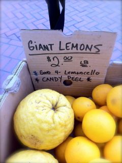 giantlemons200lb.jpg