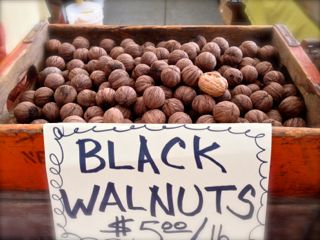 blackwalnuts$5:s.jpg