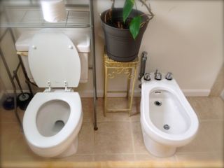 toilet:s.jpg