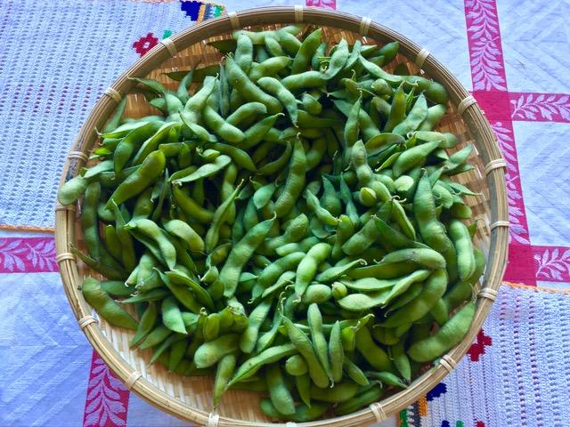 edamame-m - 1.jpg