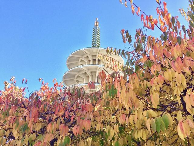 日本町桜紅葉 - 1.jpg