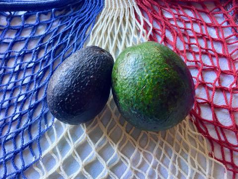 avocado2種類 - 1.jpg