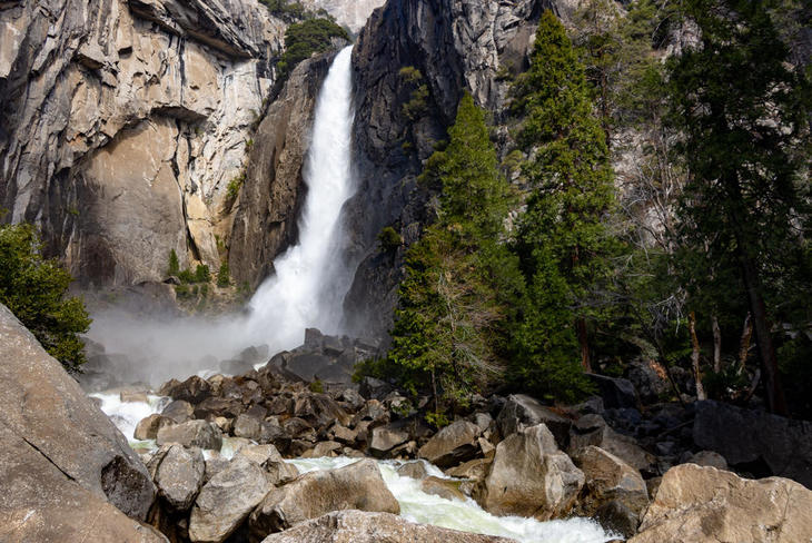 220326-YYL YosemiteFalls@LoweYosemiteTrail,Yosemite_93.jpg