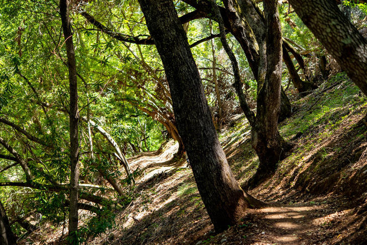 220522-00 TrailSign,FoothillOS_70x.jpg