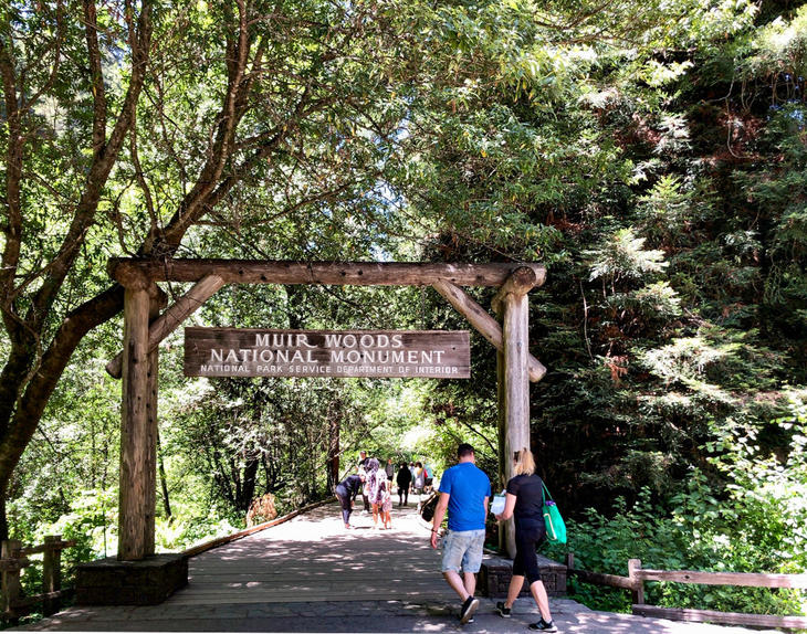 220518-01 Entrance,MuirWoods_64.jpg