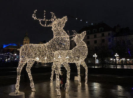 Stockholm_Reindeer.jpg