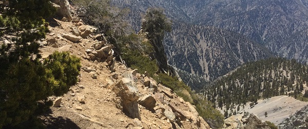 Baldy_Hiking_View1.jpg