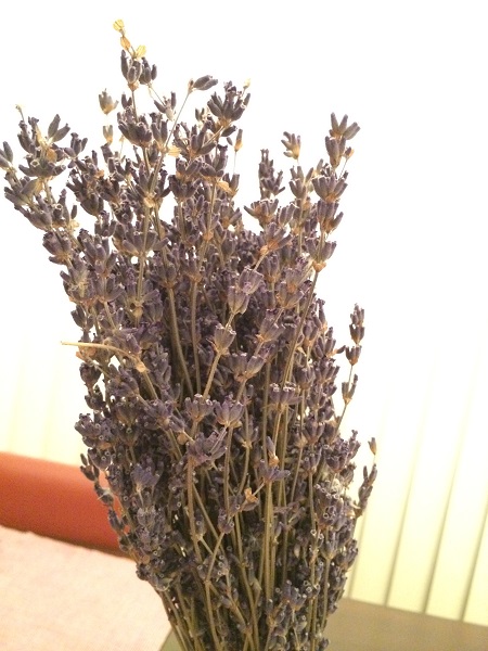 FarmTomita_LavenderDryFlower.jpg