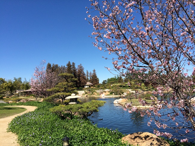 JapaneseGarden03.jpg