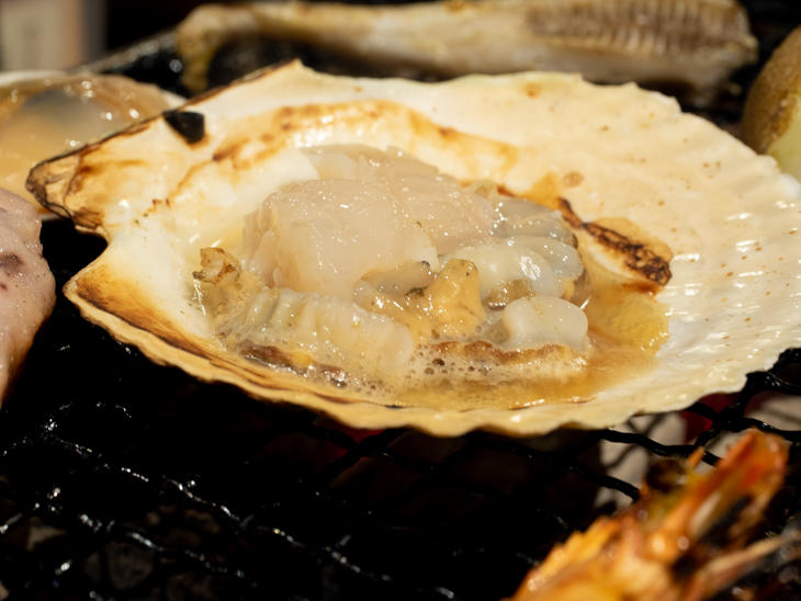 14_scallop_PB230144.jpg