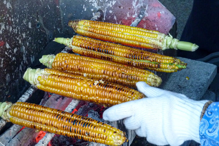 5_corn_P1000981.jpg