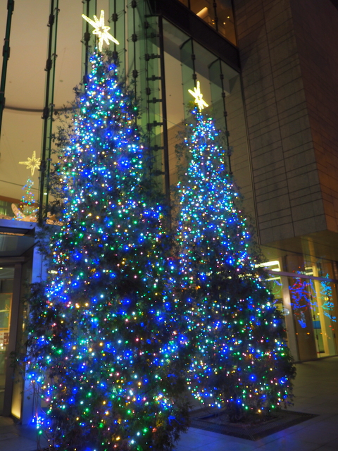 Christmas trees which stand at opposite side of Odori Park 3-chome 