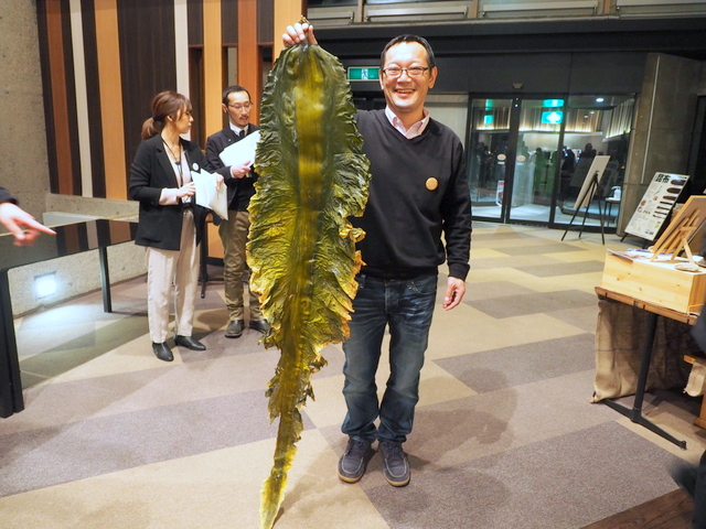 Kelp from Rausu