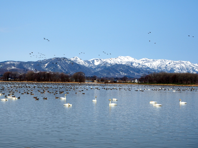 Miyajimanuma Swamp and Range of mountains of Kabato