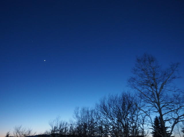 宵の明星（札幌市南区・1月）