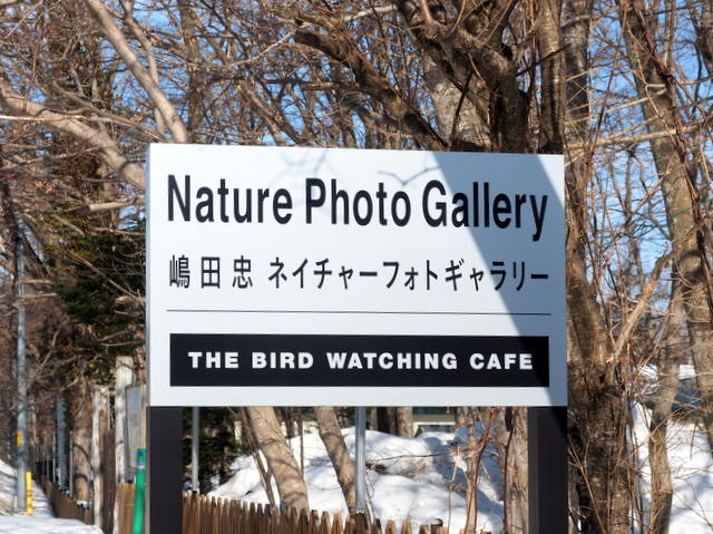 THE BIRD WATCHING CAFE