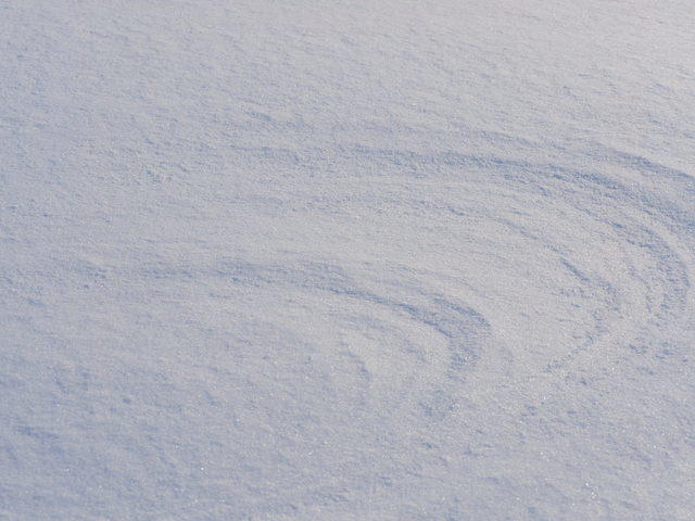 風雪紋（札幌市・12月）