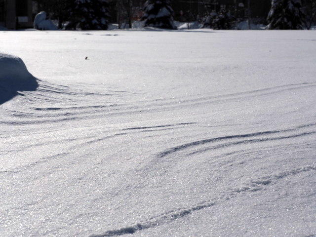 風雪紋（札幌）