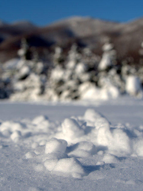 雪（札幌）