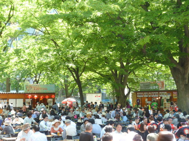 夏の大通公園6丁目