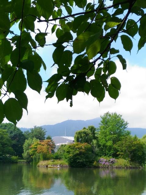 中島公園・菖蒲池