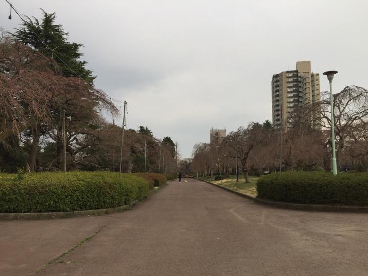 tsutsujigaoka (730x548).jpg