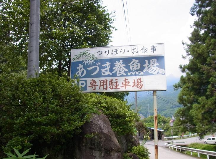 吾妻養魚所　看板.jpg