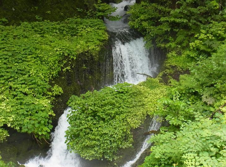 地球の歩き方　東村1.jpg