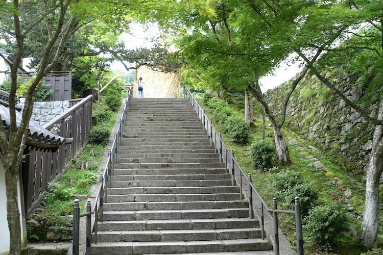 涼し気な風鈴で暑気払い...西教寺・納涼風鈴参道通り抜け