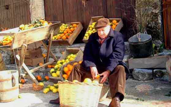 fotoaziendagricola.jpg