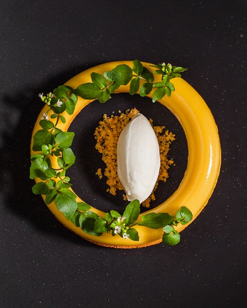 Bundt of passionfruit and coconut, wild watercress and buttermilk basil ice-cream.jpg