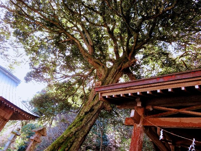 鎮霊神社 (7).JPG