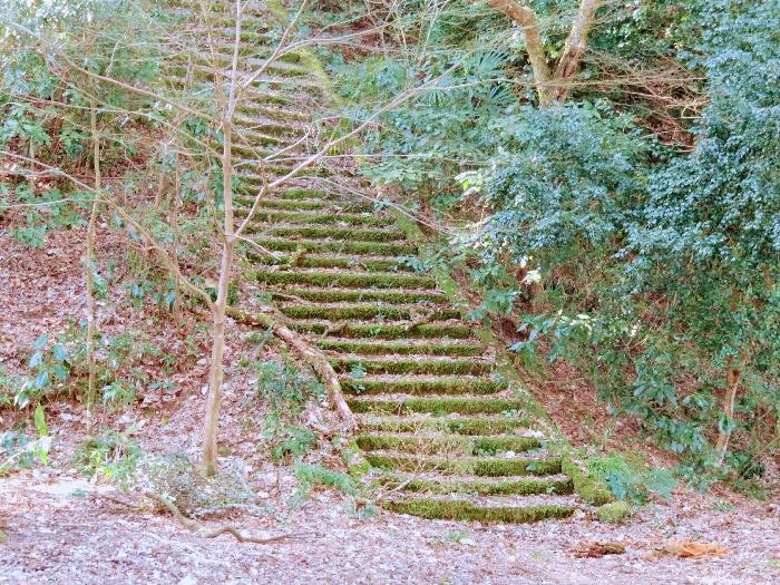 鎮霊神社 (9).JPG