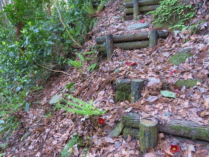 羽衣石城登山 (8).JPG