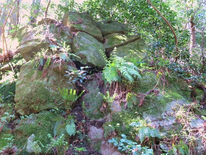 羽衣石城登山b (7).JPG